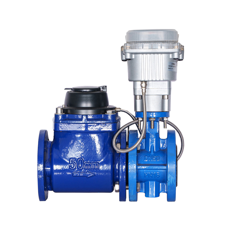 WPH DN50-DN200 vodomer s horizontálnym odnímateľným skrutkovým krídlovým ventilom (so stohovaným ventilom)